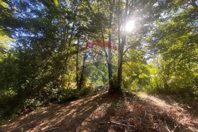 Parcela cercana al lago caburgua pucon