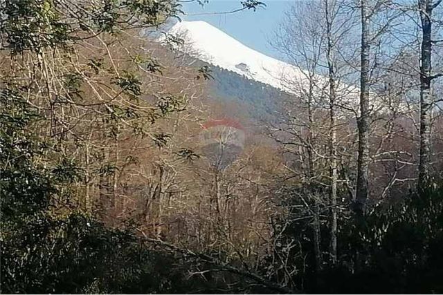 Terreno  en pucón: tu refugio ideal