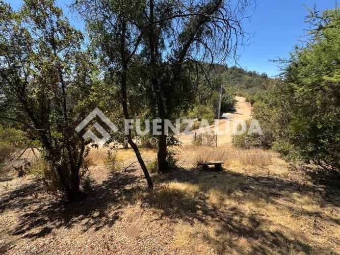 SITIO Alfonso Letelier LLona/piedra molino