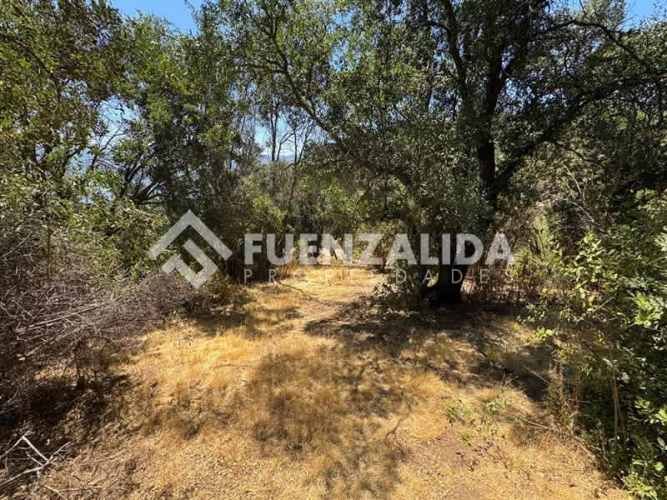 SITIO Alfonso Letelier LLona/piedra molino