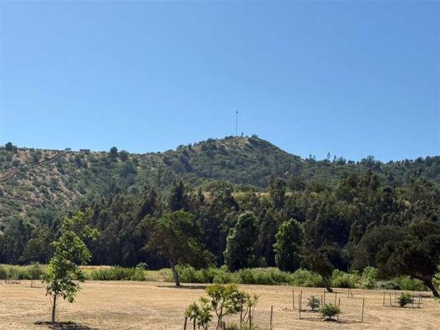 PARCELA Puro Caballo