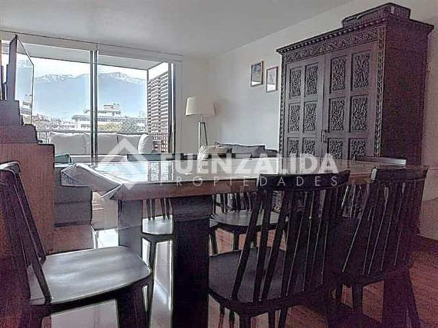 DEPARTAMENTO Manuel de Salas/Irarrázaval