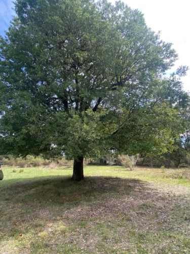 Parcela PROVINCIA DE CAUTÍN