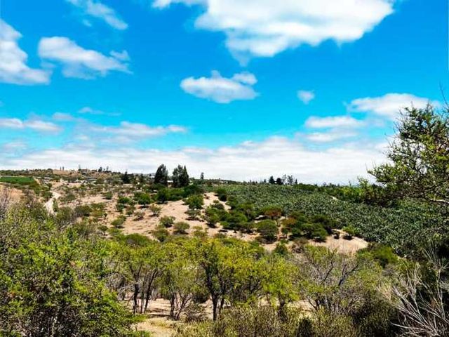 OPORTUNIDAD PARCELA 3,5 HA CODIGUA MELIPILLA