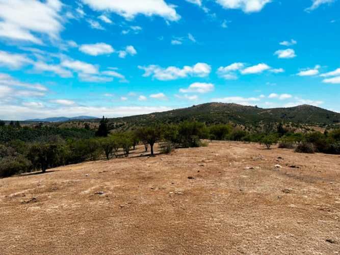 SE LIQUIDA PARCELA 3,5 HA CODIGUA MELIPILLA