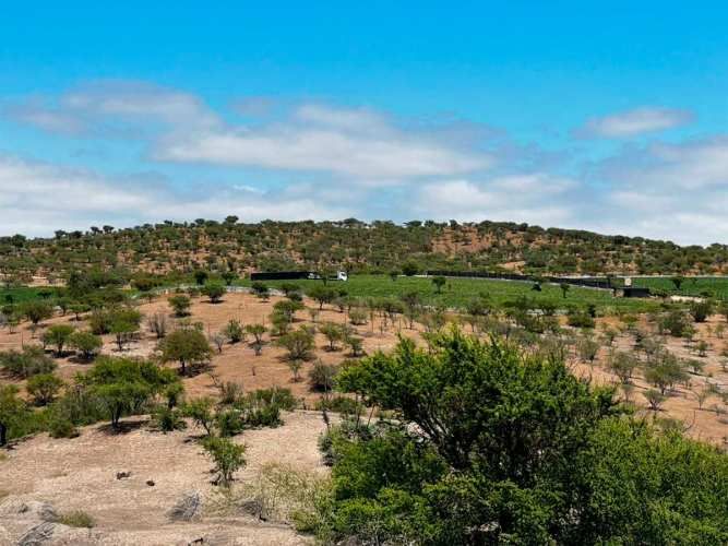 SE LIQUIDA PARCELA 3,5 HA CODIGUA MELIPILLA