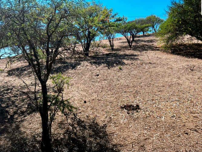 SE LIQUIDA PARCELA 3,5 HA CODIGUA MELIPILLA