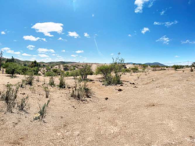 SE LIQUIDA PARCELA 3,5 HA CODIGUA MELIPILLA