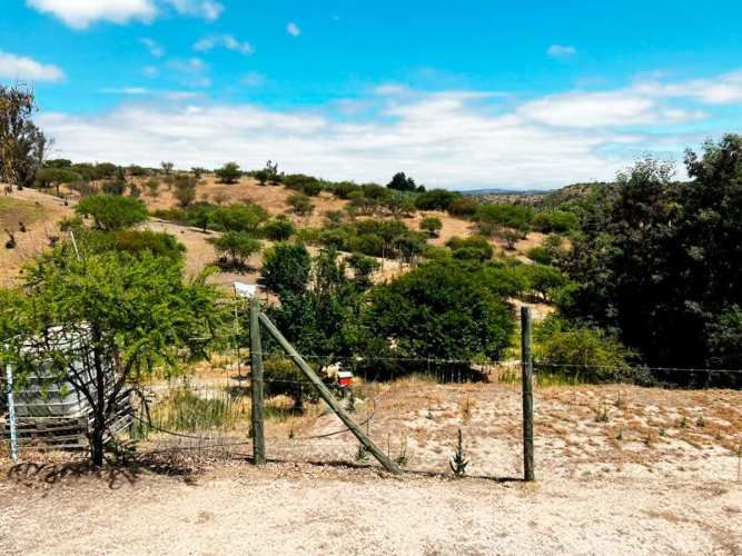 SE LIQUIDA PARCELA 3,5 HA CODIGUA MELIPILLA
