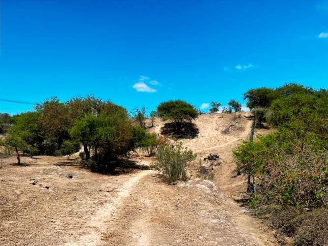 SE LIQUIDA PARCELA 3,5 HA CODIGUA MELIPILLA