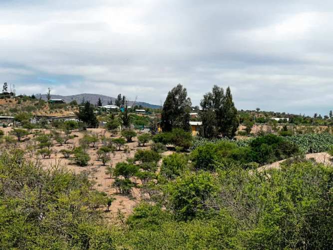 SE LIQUIDA PARCELA 3,5 HA CODIGUA MELIPILLA