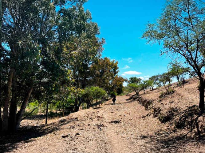 SE LIQUIDA PARCELA 3,5 HA CODIGUA MELIPILLA