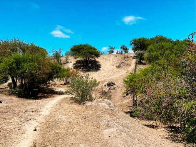 SE LIQUIDA PARCELA 3,5 HA CODIGUA MELIPILLA