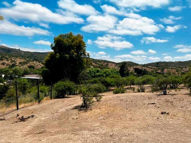 SE LIQUIDA PARCELA 3,5 HA CODIGUA MELIPILLA