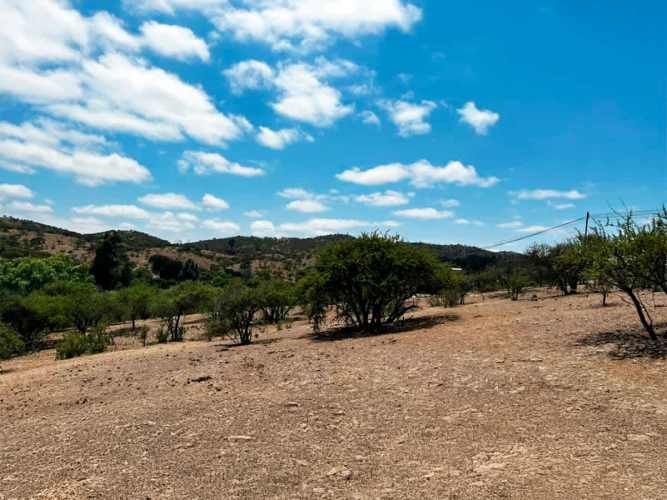 SE LIQUIDA PARCELA 3,5 HA CODIGUA MELIPILLA