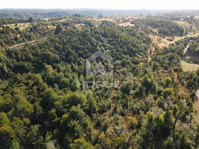 SITIO Parcelas Rio Vilcun