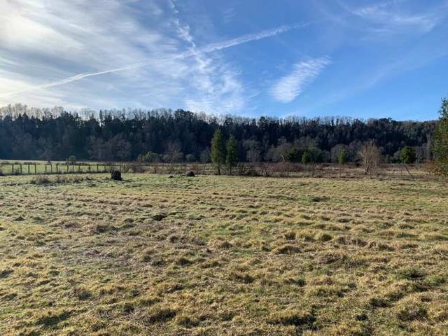 HERMOSA PARCELA AL LADO DE VILLARRICA