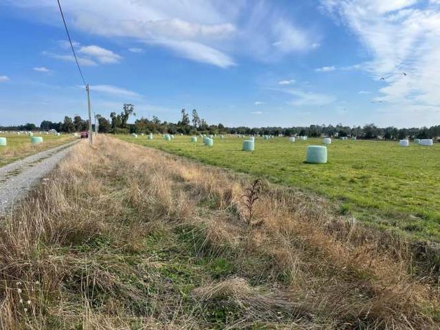 VENTA PARCELA 5000MTS Puerto Octay