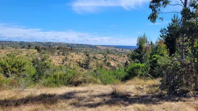 PARCELA Camino Las Dichas