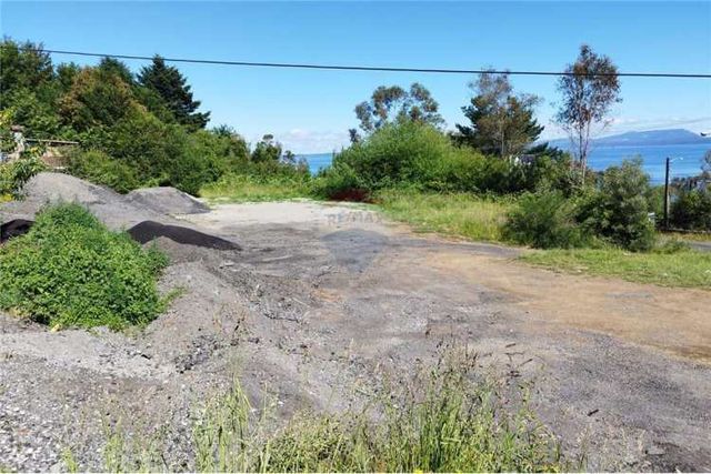 Pucon arrienda terreno comercial camino villarica