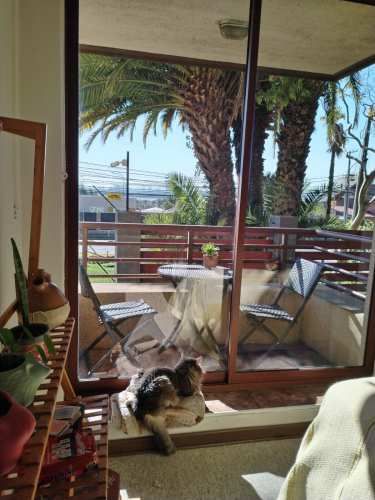 Precioso departamento 3D2B1E puente Chacabuco (111020)