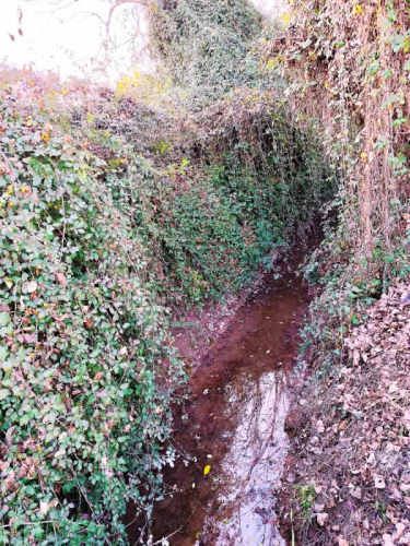 Parcela en Condominio Piamonte