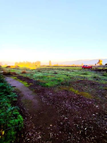 Parcela en Condominio Piamonte