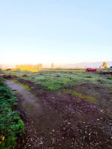 Parcela en Condominio Piamonte