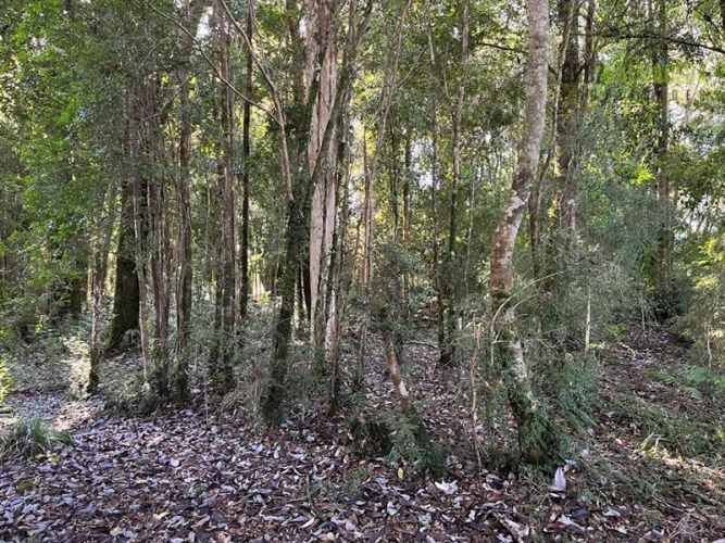 PARCELA Fundo Las Cumbres
