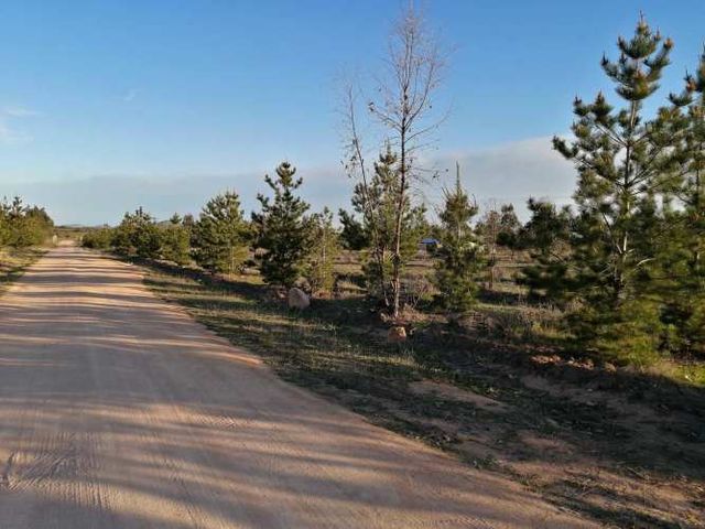 Gran Oportunidad Parcela en venta (111224)