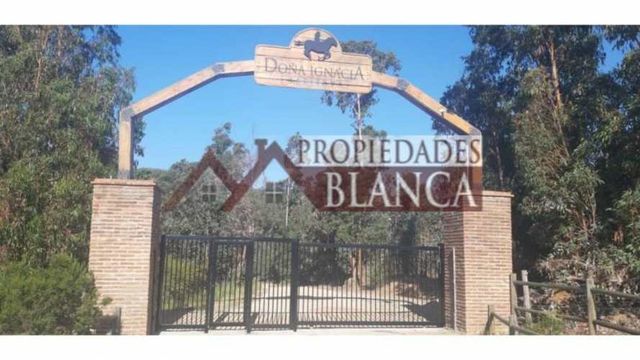 PARCELA PLANA SECTOR LOS BORRISQUEROS LIMACHE.