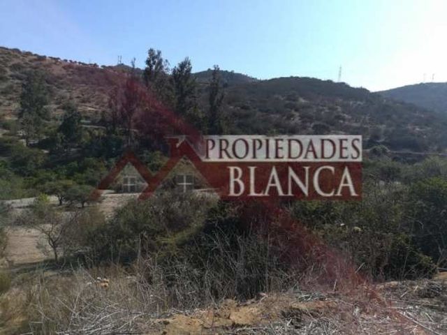 PARCELA CAMINO LOS LAURELES, LIMACHE