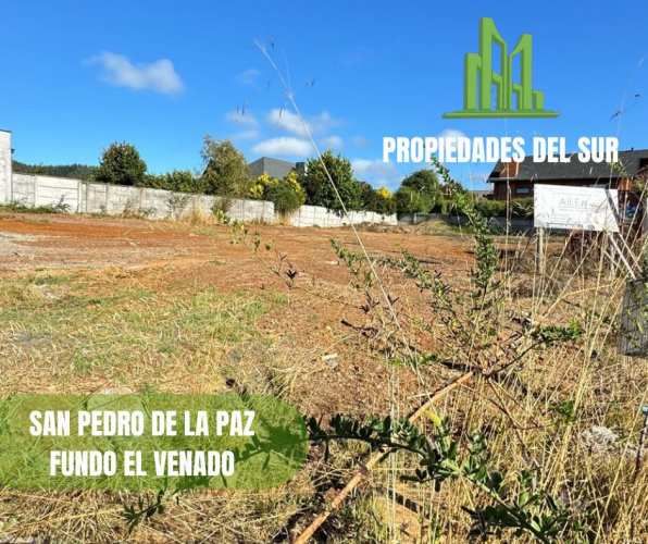 TERRENO FUNDO EL VENADO SAN PEDRO DE LA PAZ