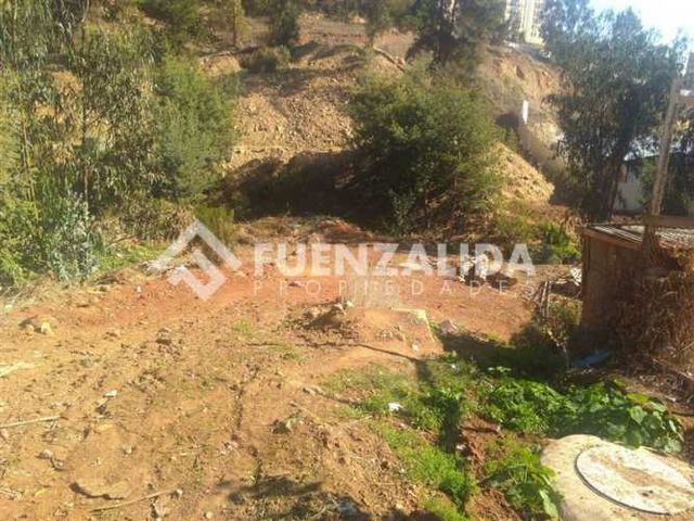 TERRENO CONSTRUCCION Camino internacional