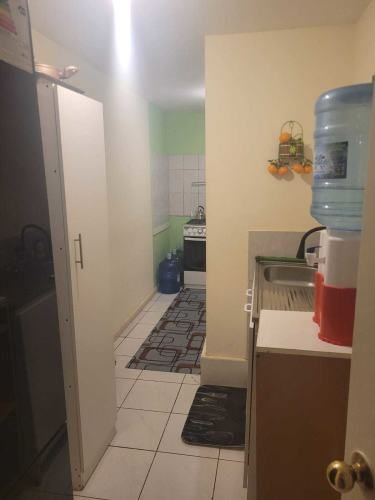 SE VENDE DEPARTAMENTO (111455)