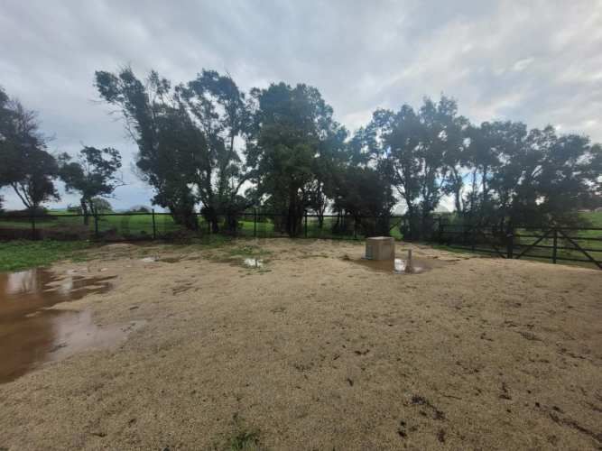 Venta luminosa casa en plena naturaleza Santa Adela