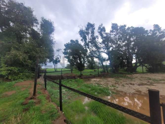 Venta luminosa casa en plena naturaleza Santa Adela