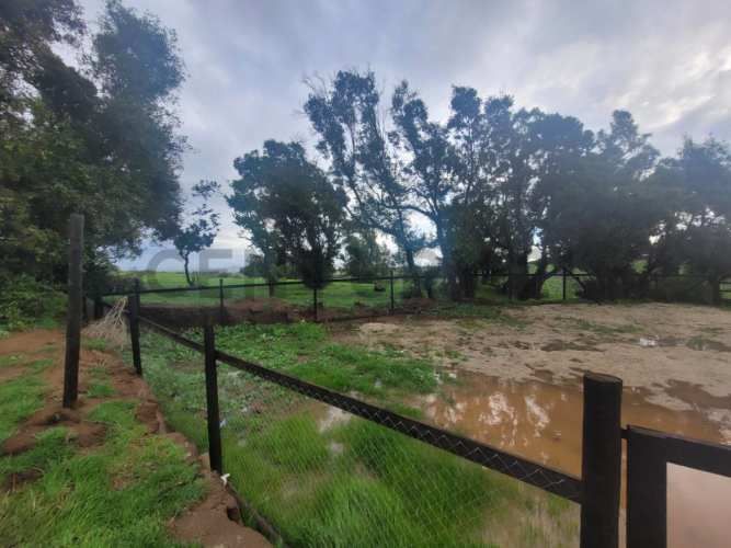 Venta luminosa casa en plena naturaleza Santa Adela