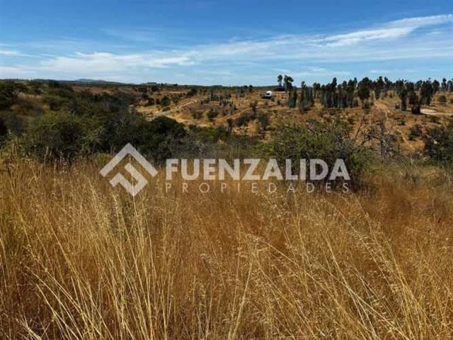 PARCELA Raices de Santo Domingo