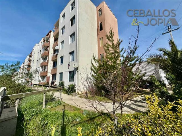 DEPARTAMENTO Colinas de Oro, Quilpué