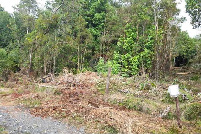 Lago ranco se vende parcela en riñinahue