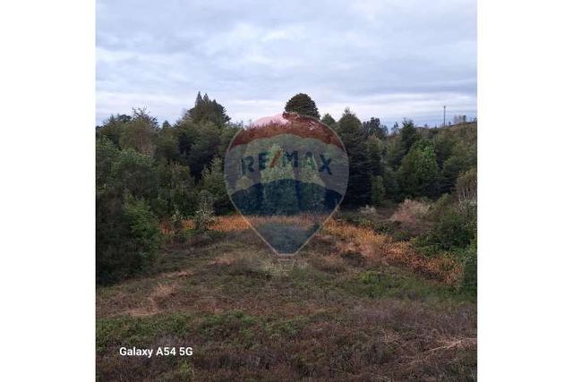 Excelente terreno sector trapen- panitao alto