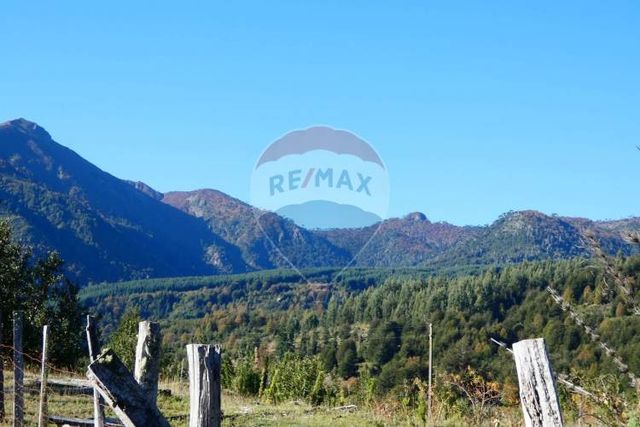 Venta de parcelas en melipeuco.