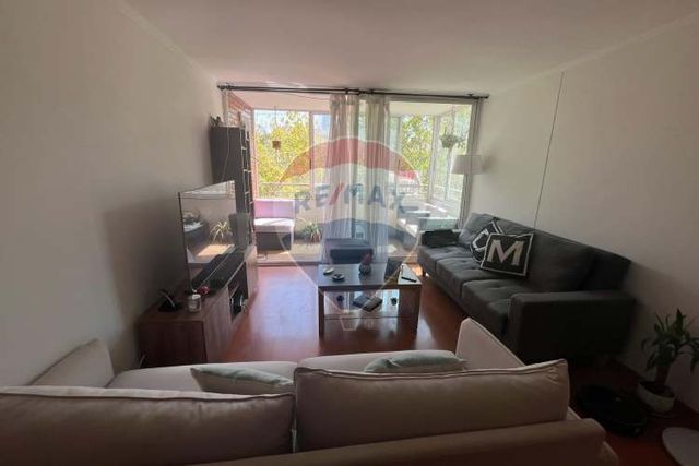 Rebajadisimo!! depto 3d-2b. providencia.