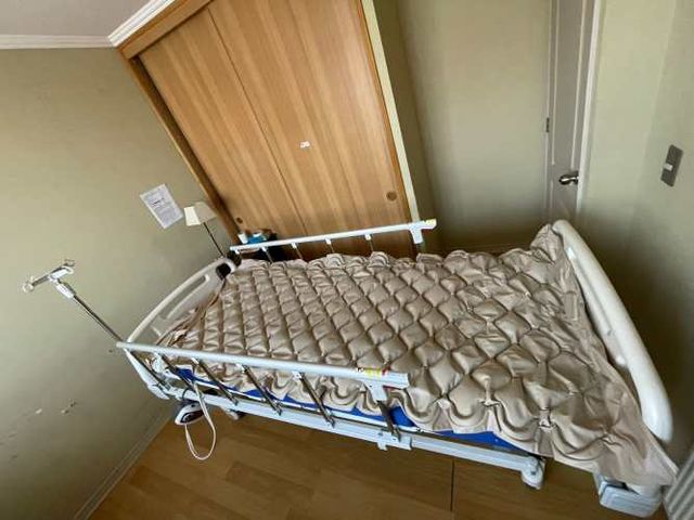 Catre Clínico Eléctrico- Poco Uso