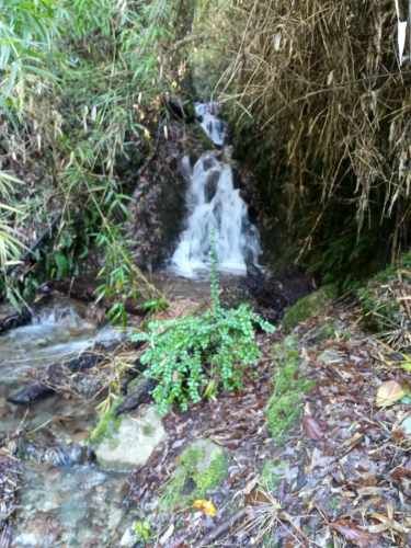 VENTA DE PARCELA CARRETERA INTERNACIONAL PUCON-CURARREHUE