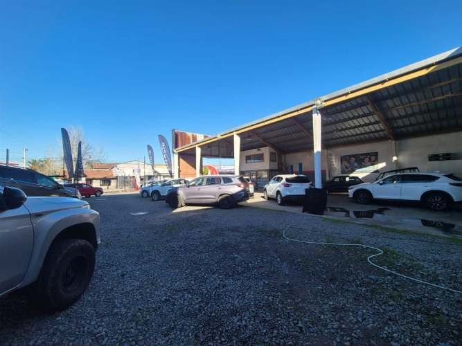 LOCAL COMERCIAL 17 oriente 1129