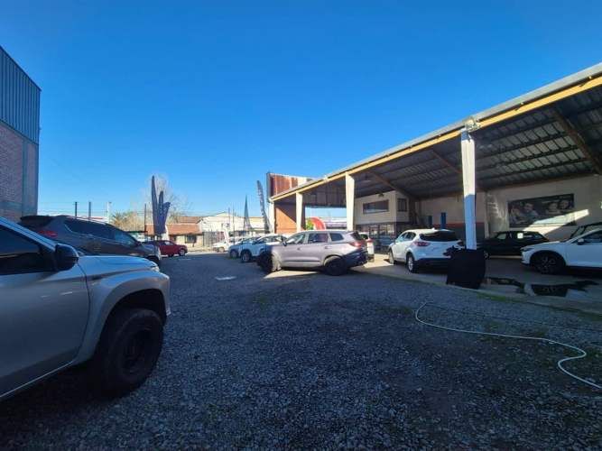 LOCAL COMERCIAL 17 oriente 1129