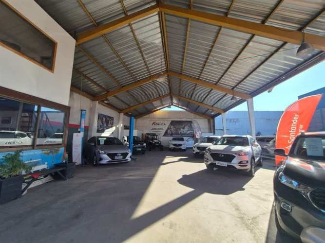 LOCAL COMERCIAL 17 oriente 1129