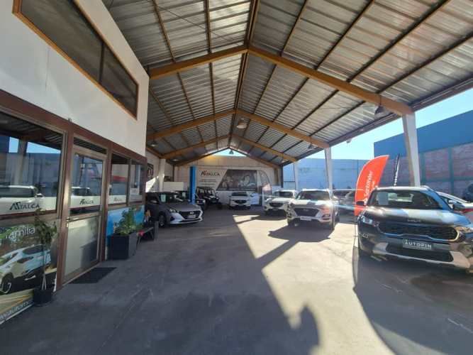 LOCAL COMERCIAL 17 oriente 1129